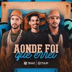 Cover of Aonde Foi Que Errei