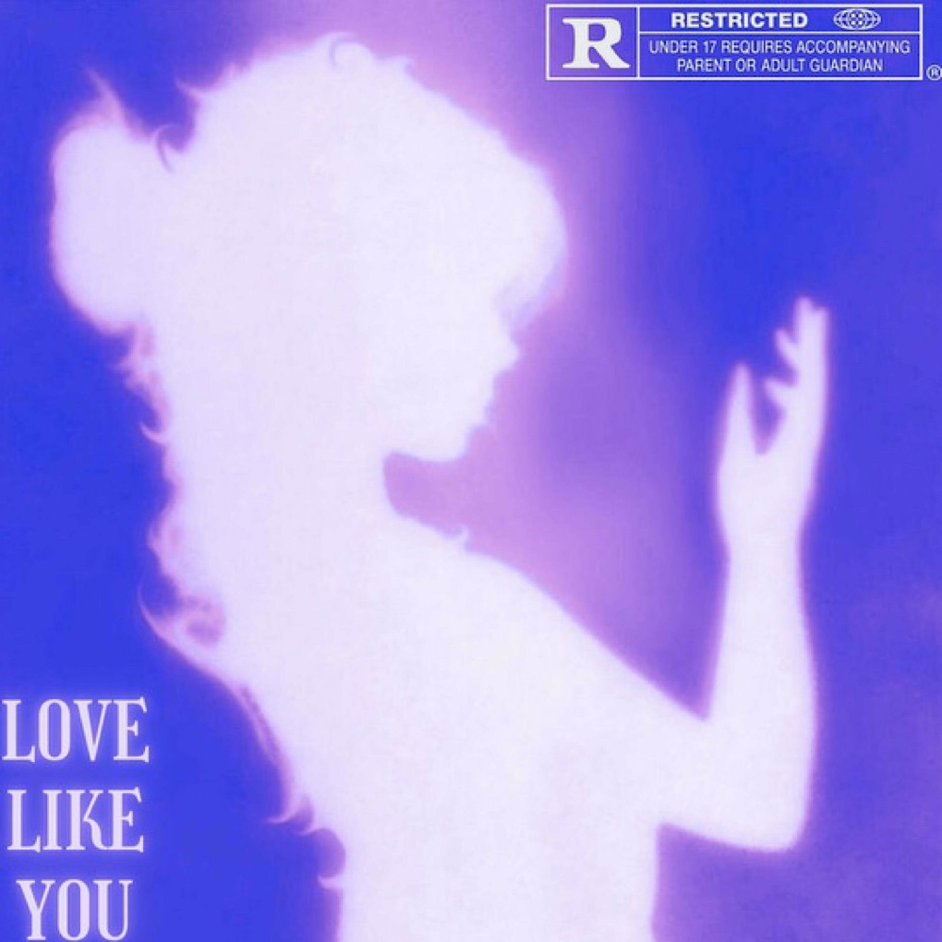 Album cover of Love Like You