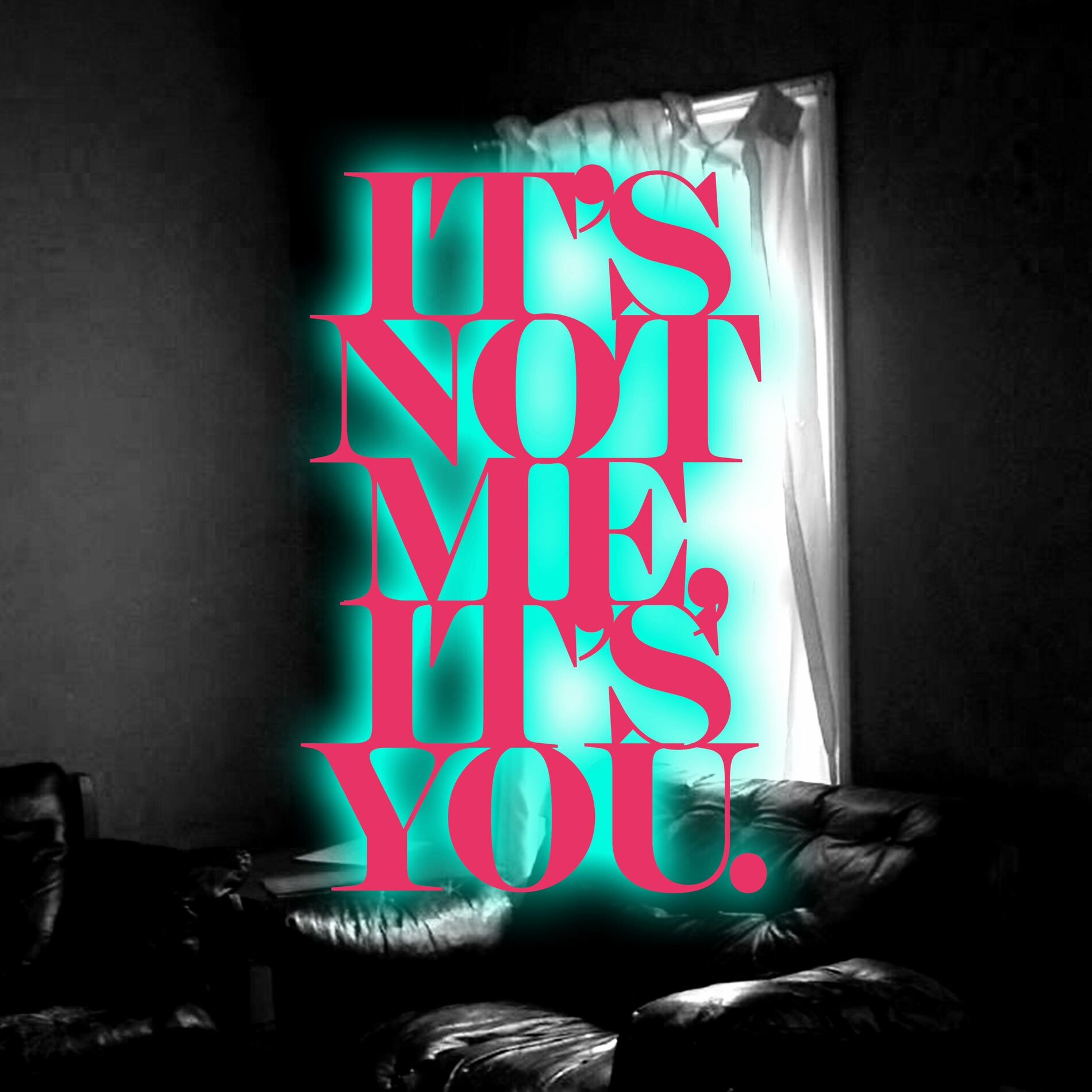 Album cover of It's Not Me, It's You.