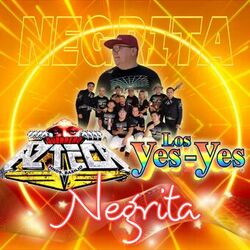 Cover of Negrita