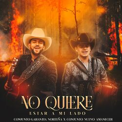 Cover of No Quiere Estar a Mi Lado
