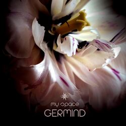 Cover of My Space