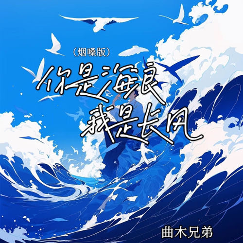你是海浪我是长风（烟嗓版）