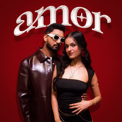 Cover of Amor by undefined