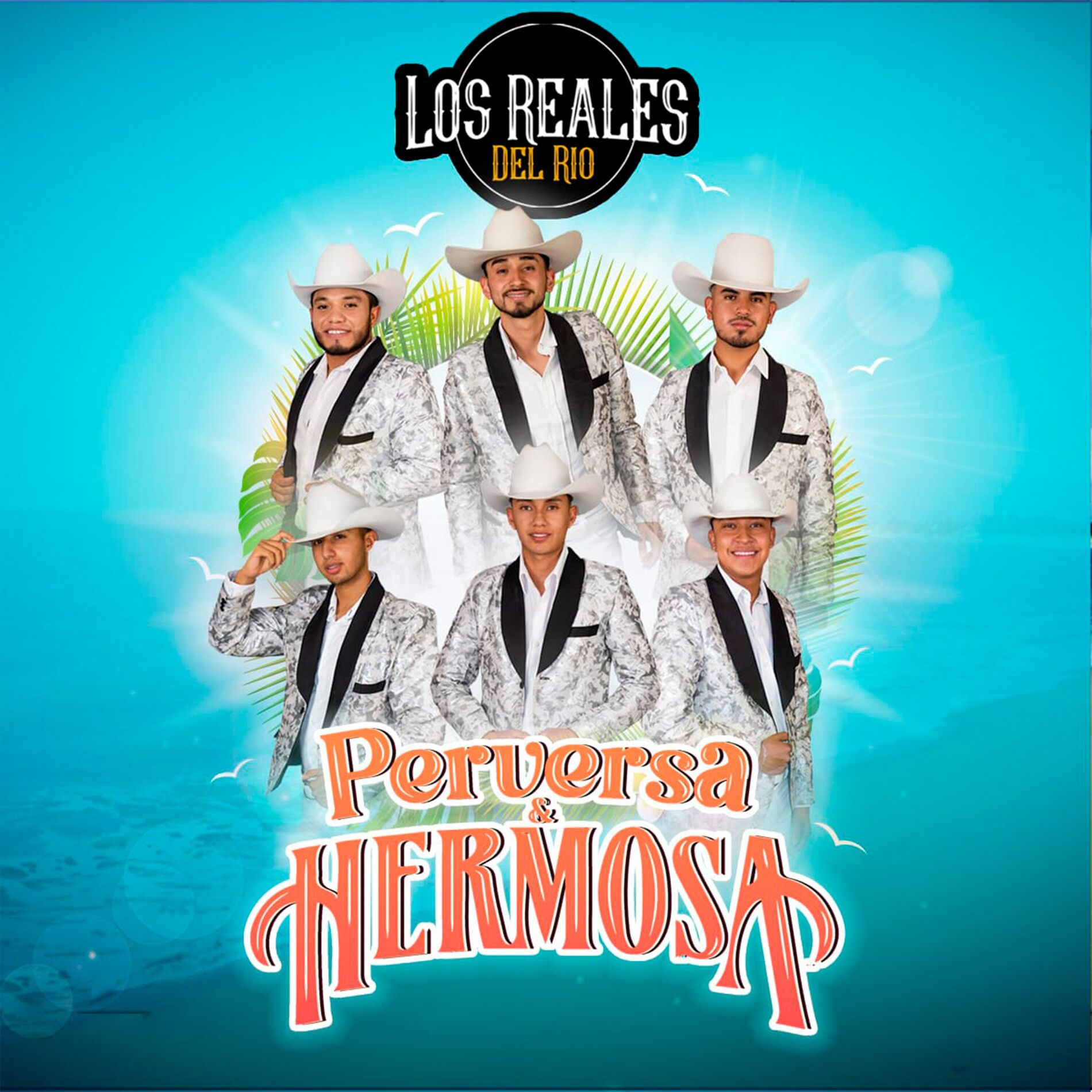 Album cover of Perversa Y Hermosa