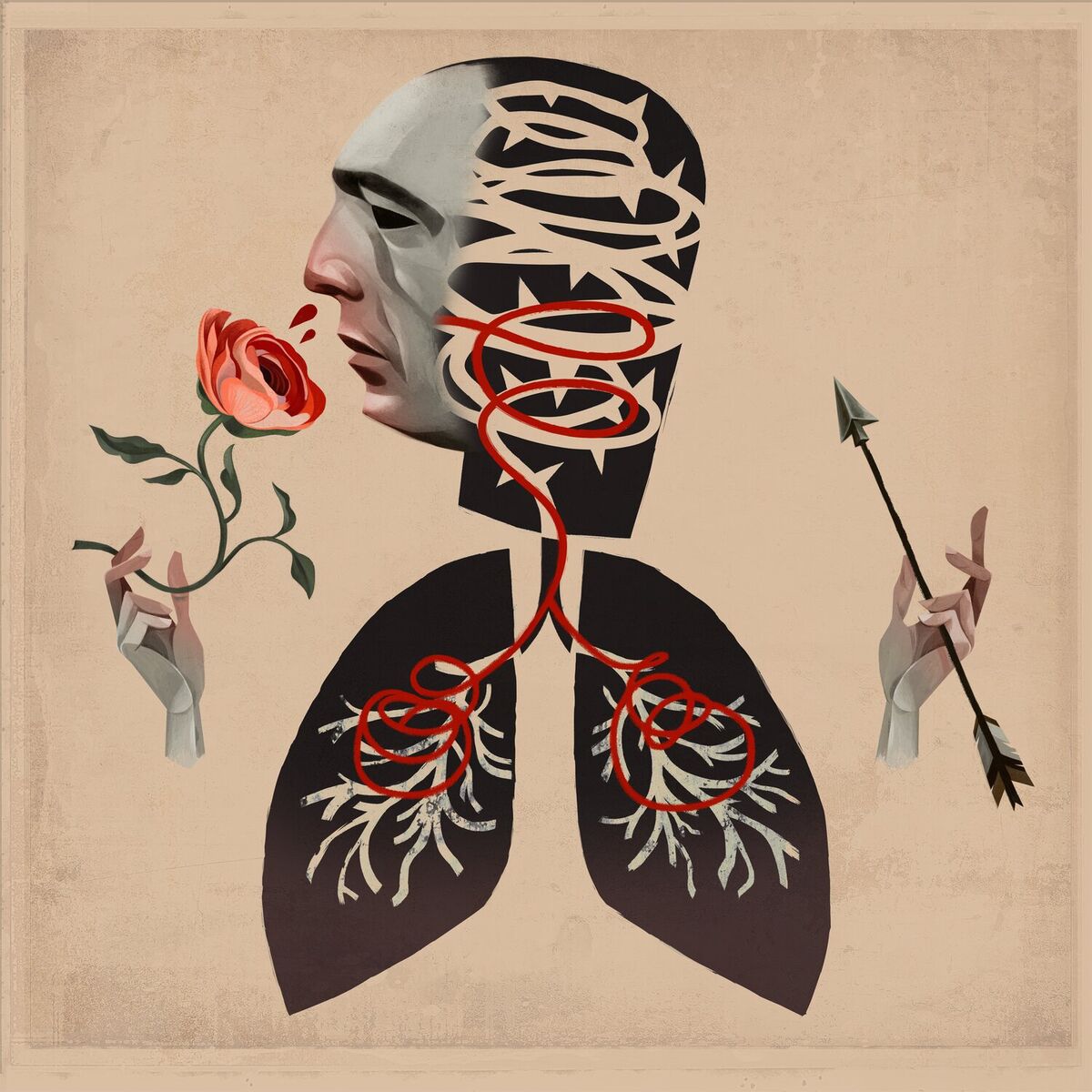 Album cover of Searching For Light