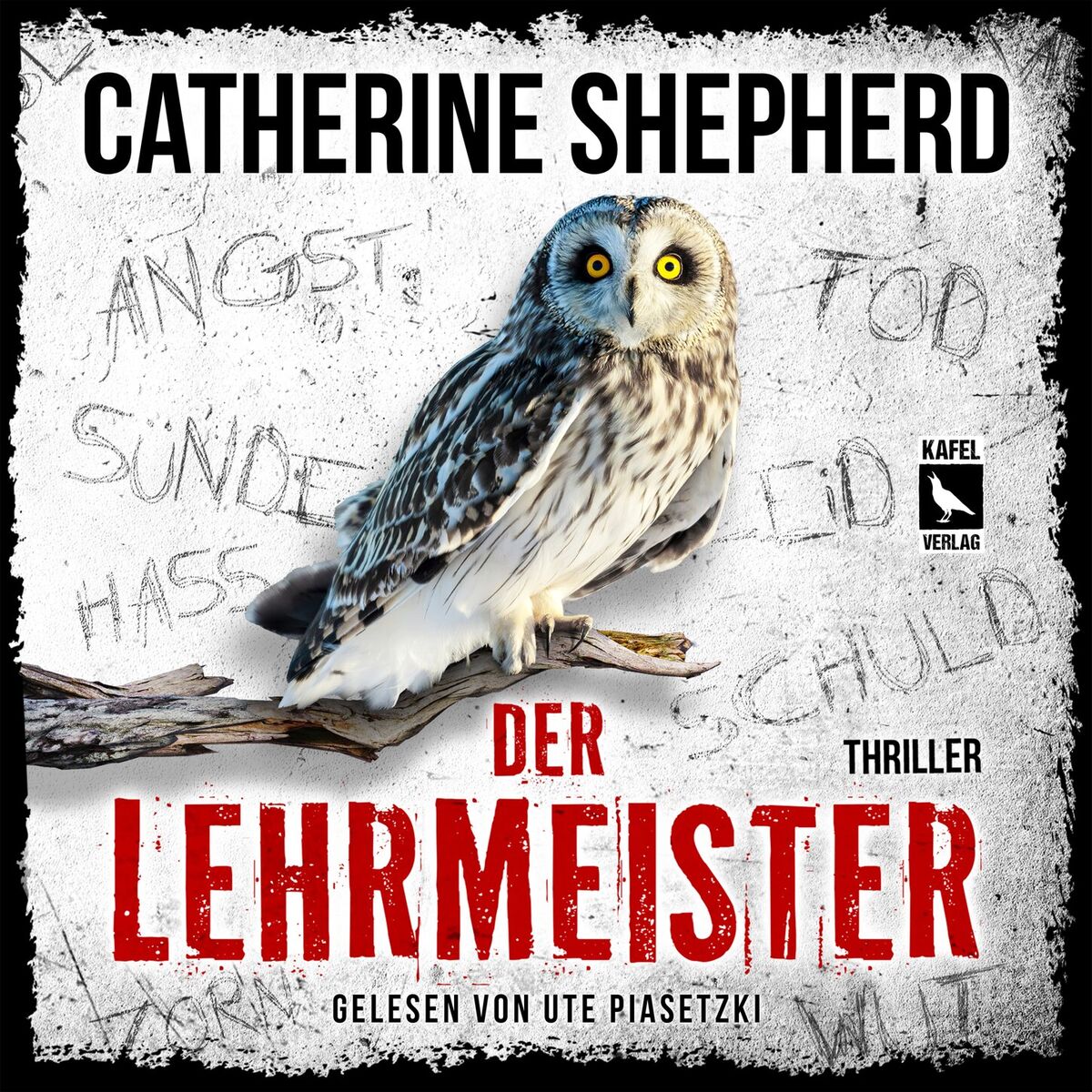 Album cover of Der Lehrmeister: Thriller