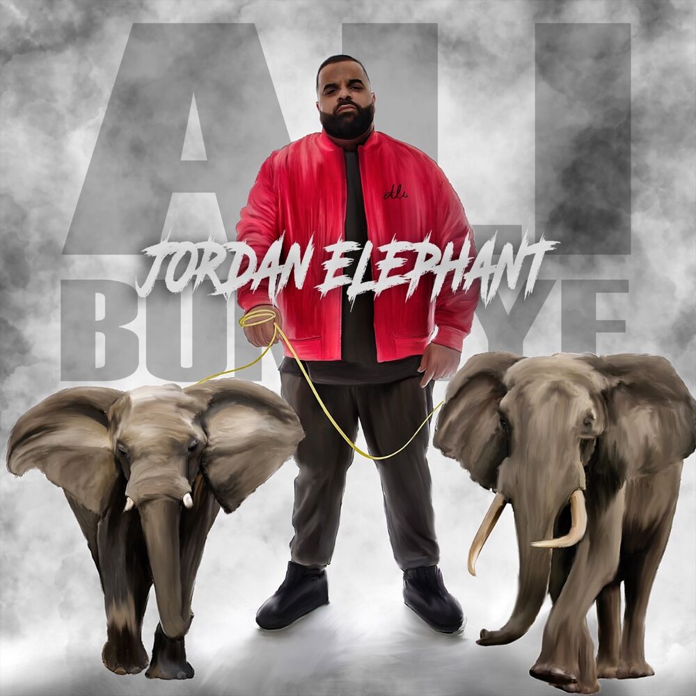 Picture of Jordan Elephant
