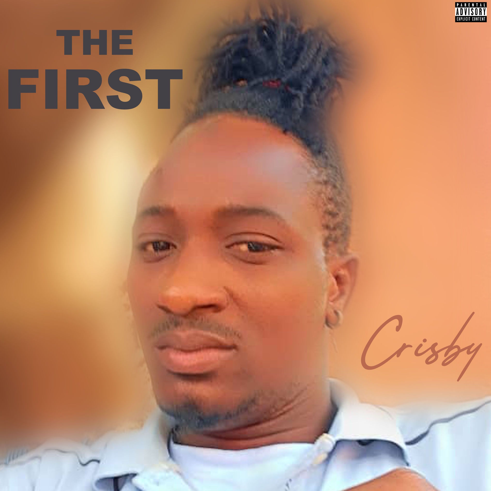 Album cover of The first