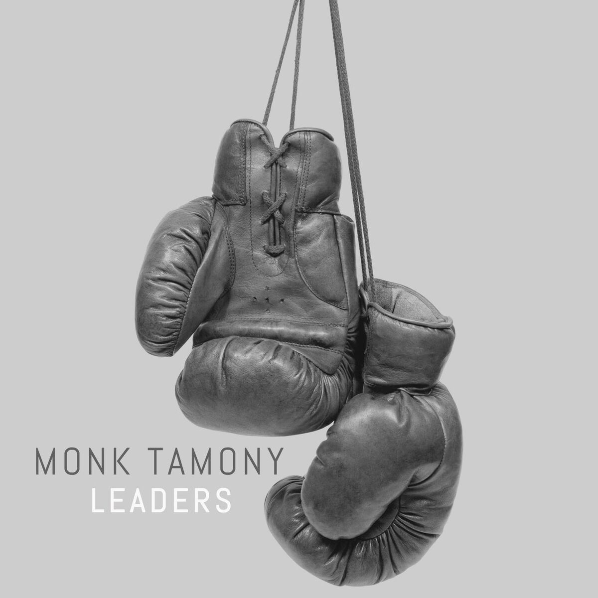 Album cover of Leaders