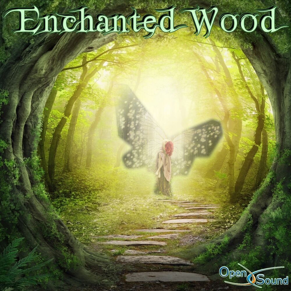 Picture of Enchanted Wood