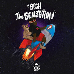Cover of The Sensation