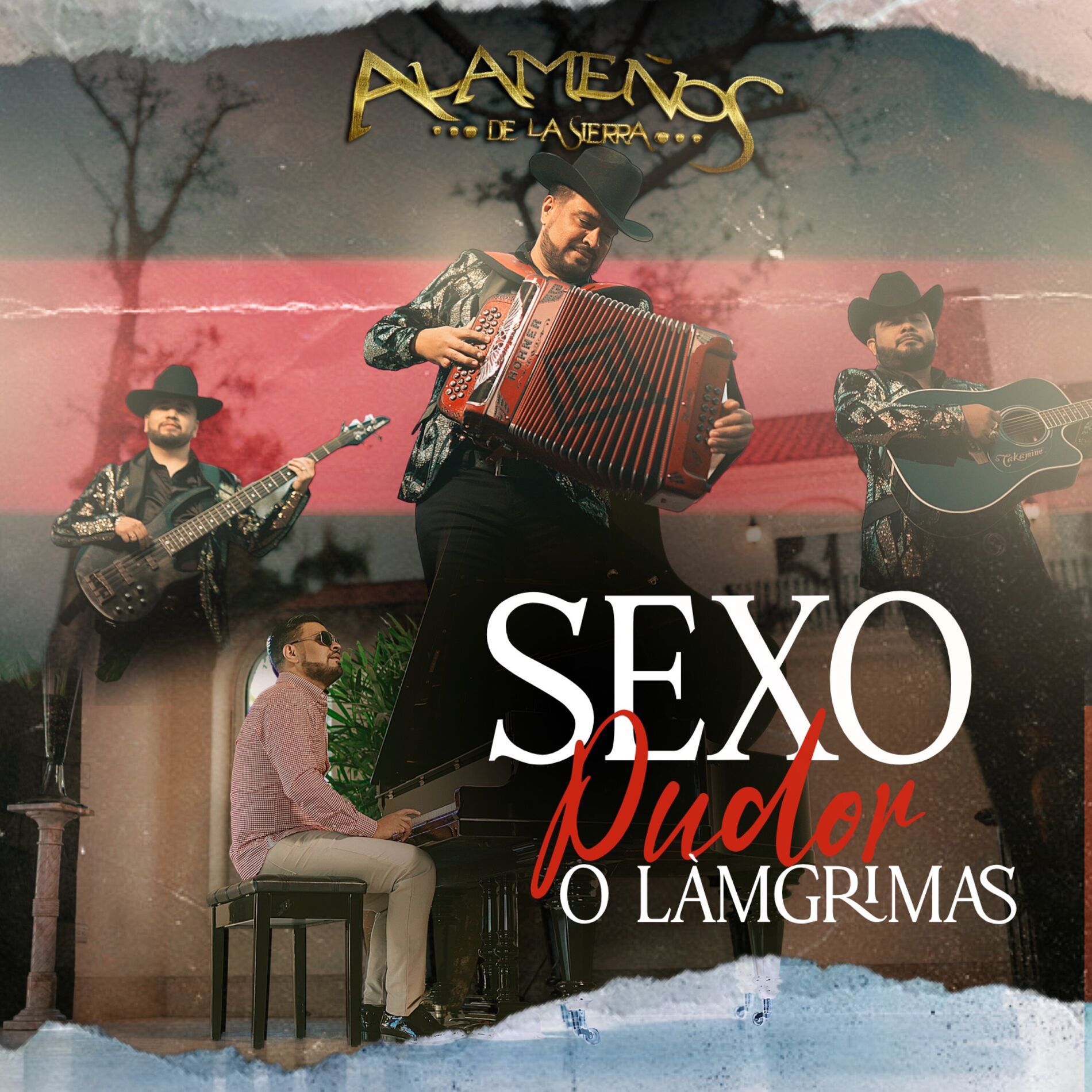 Album cover of Sexo,Pudor o Lagrimas