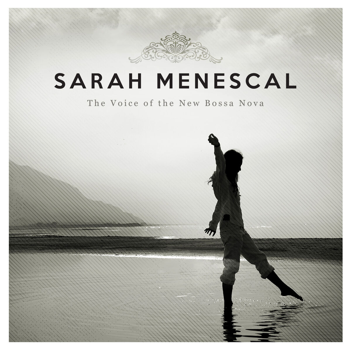 Album cover of The Voice of the New Bossa Nova