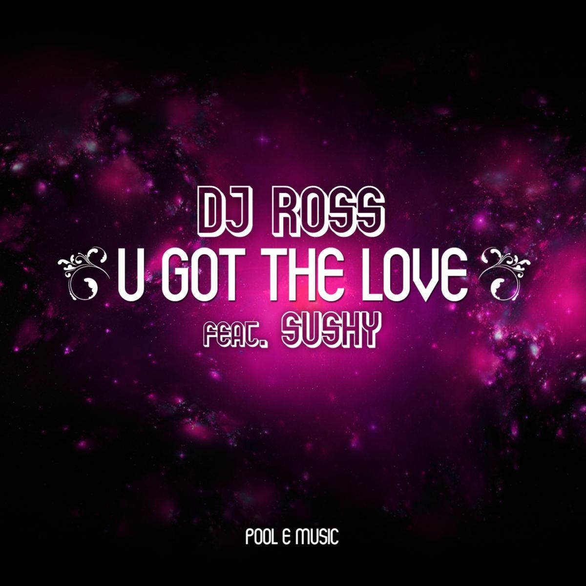 Album cover of U Got the Love