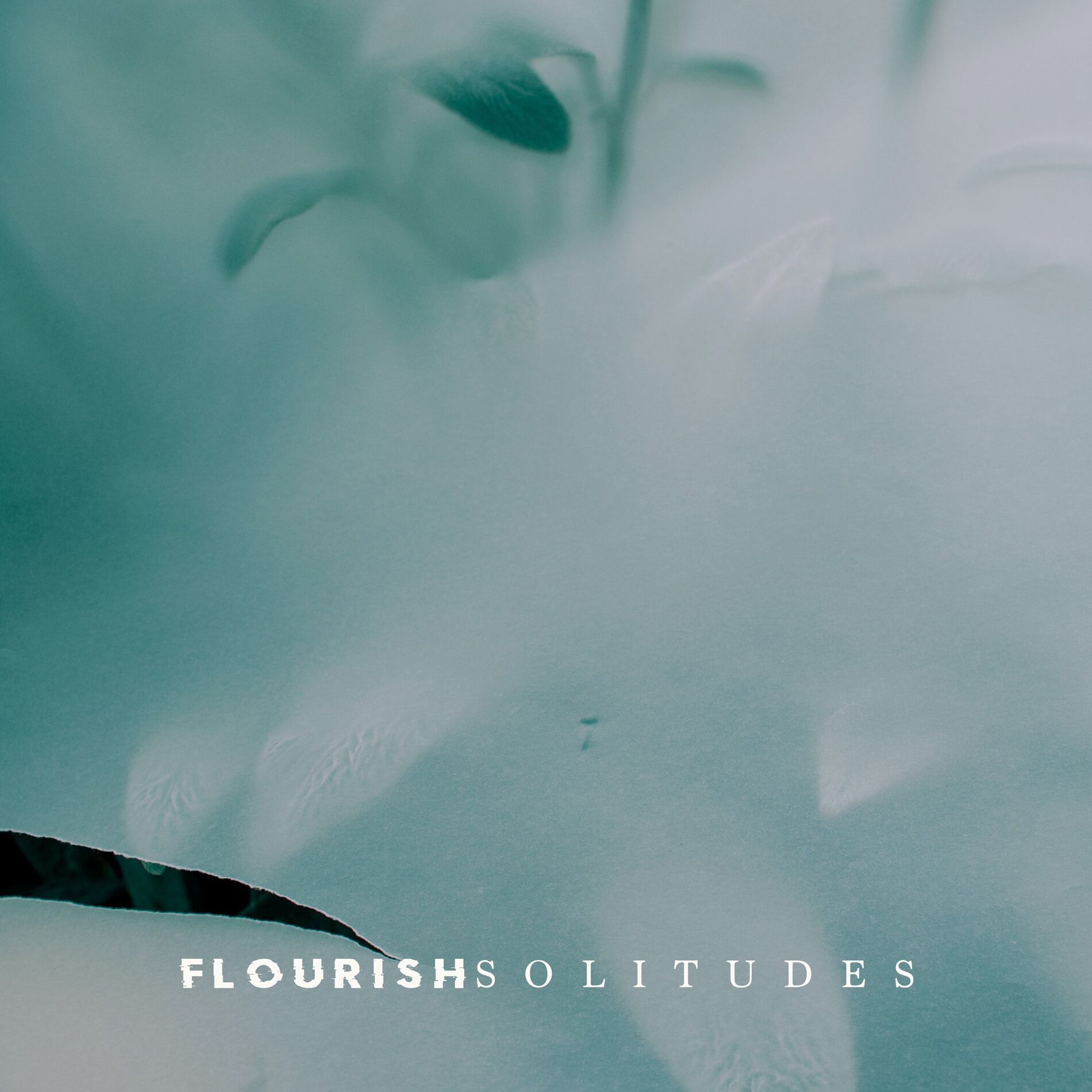 Album cover of Flourish