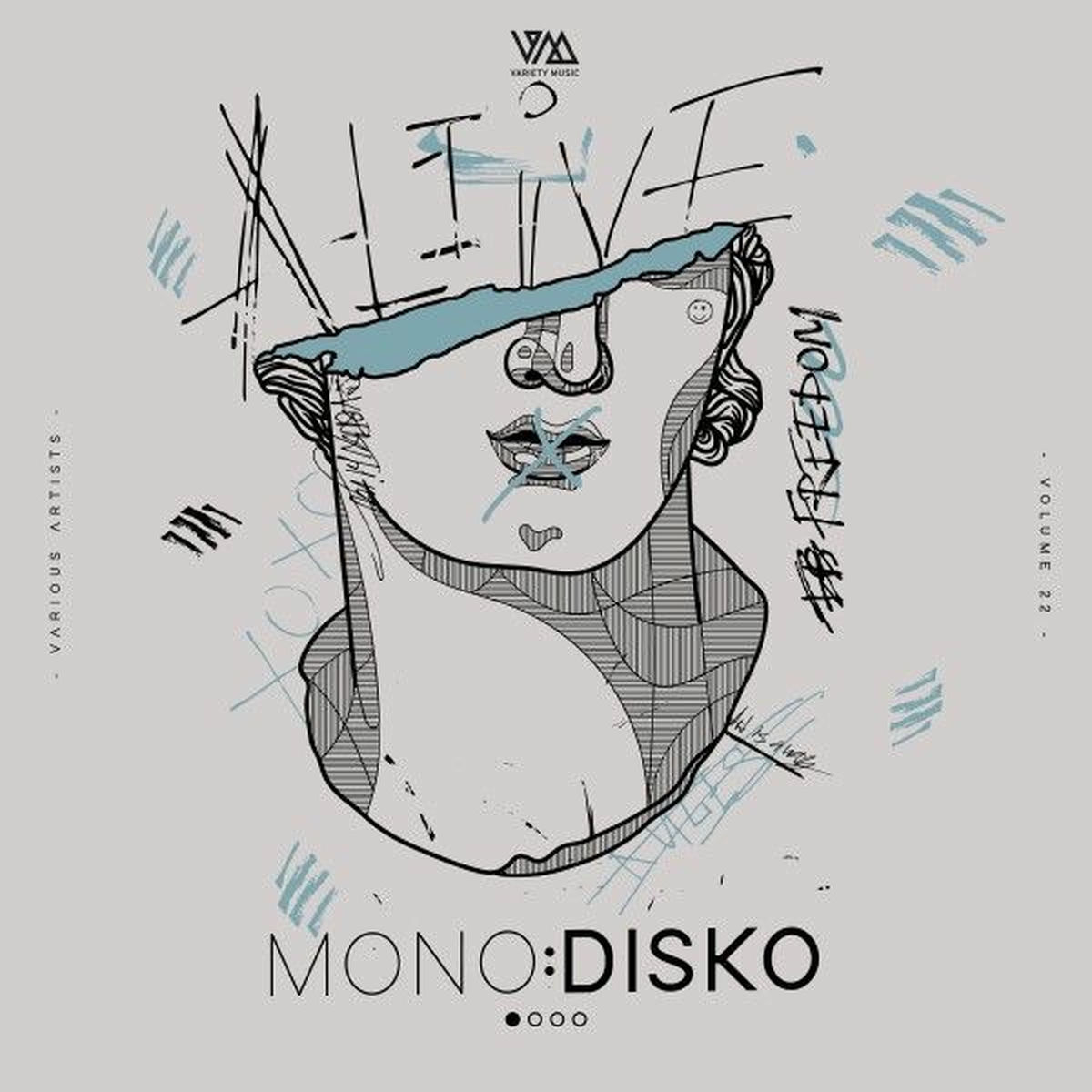 Album cover of Mono:Disko, Vol. 22