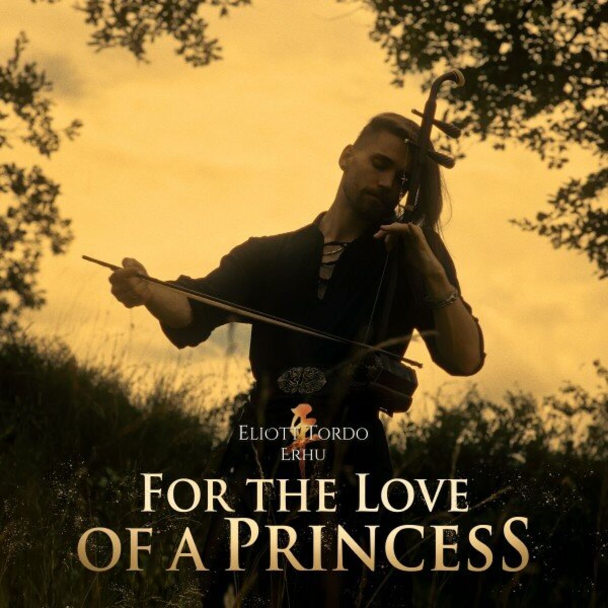 Album cover of For the Love of a Princess