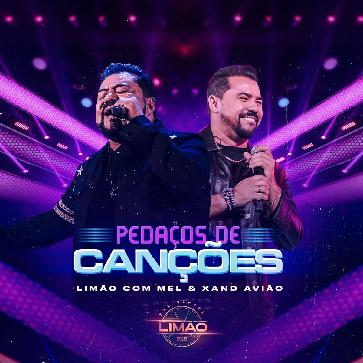 Album cover of Pedaços de Canções