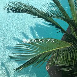 Cover of 最高のバイブス