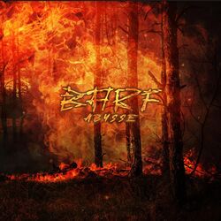 Cover of Abysse
