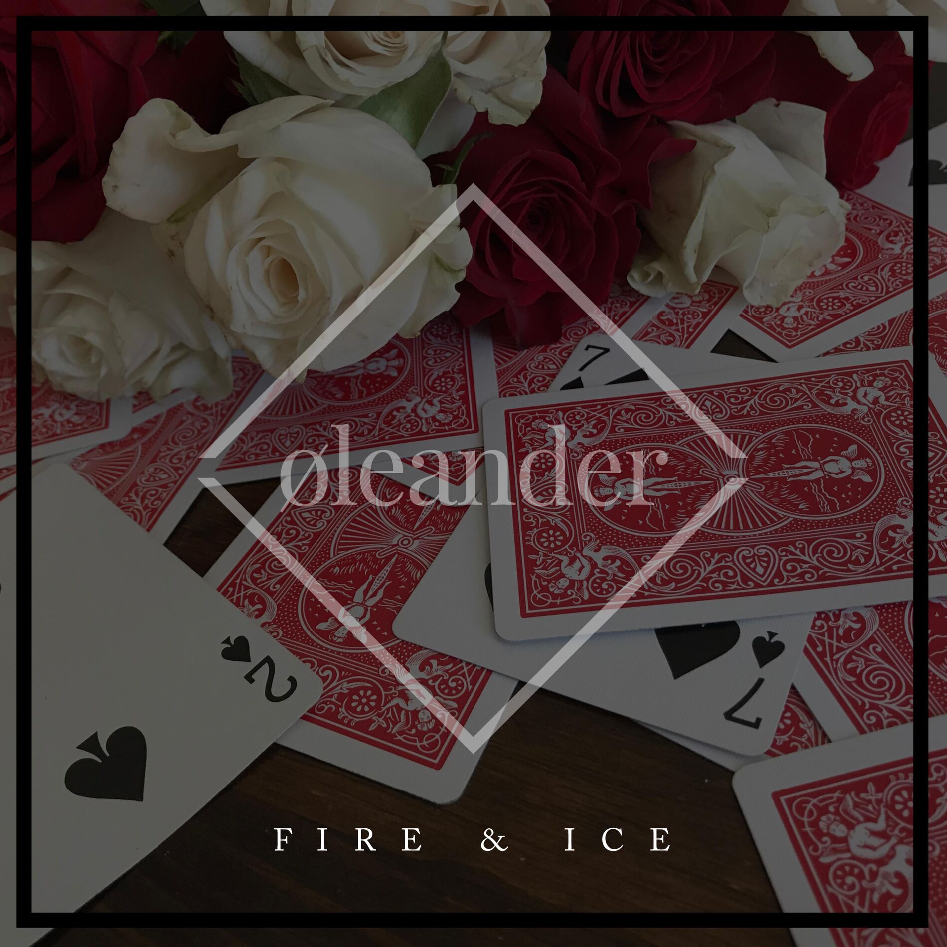 Album cover of Fire & Ice