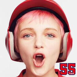 Cover of 55