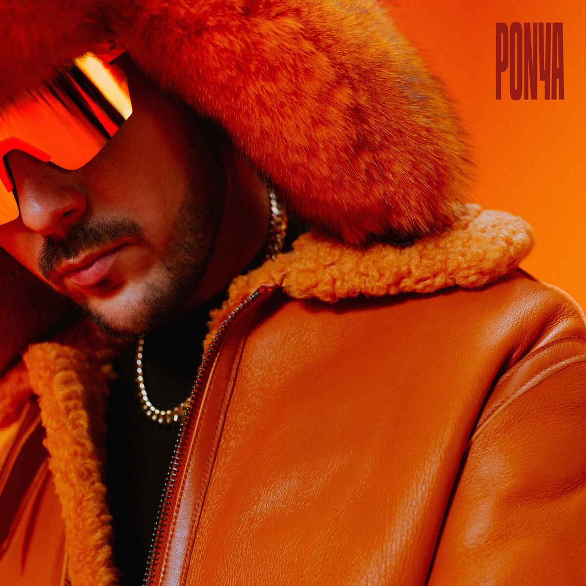 Album cover of PONYA