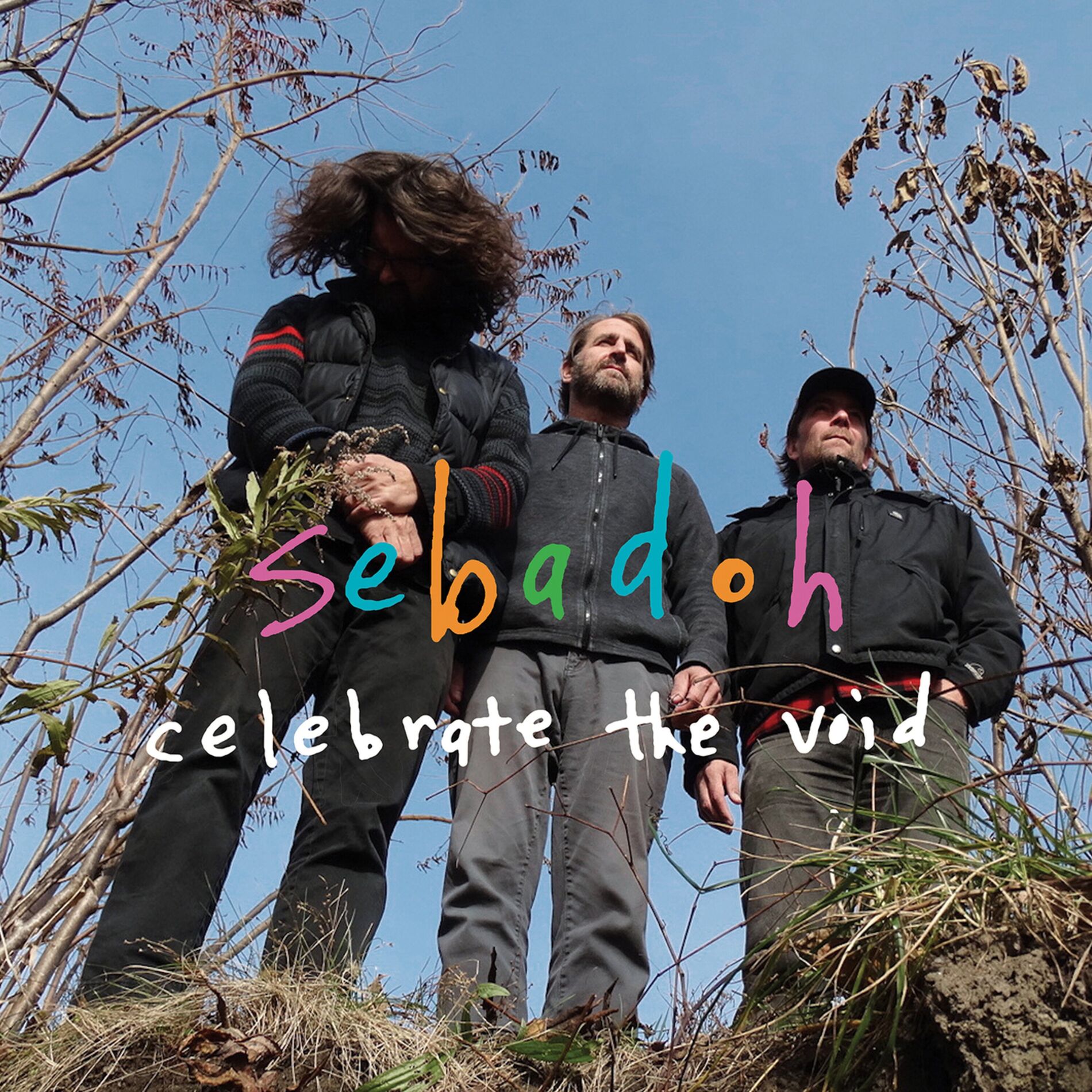 Album cover of celebrate the void