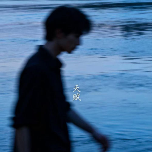 天赋（微醺版）