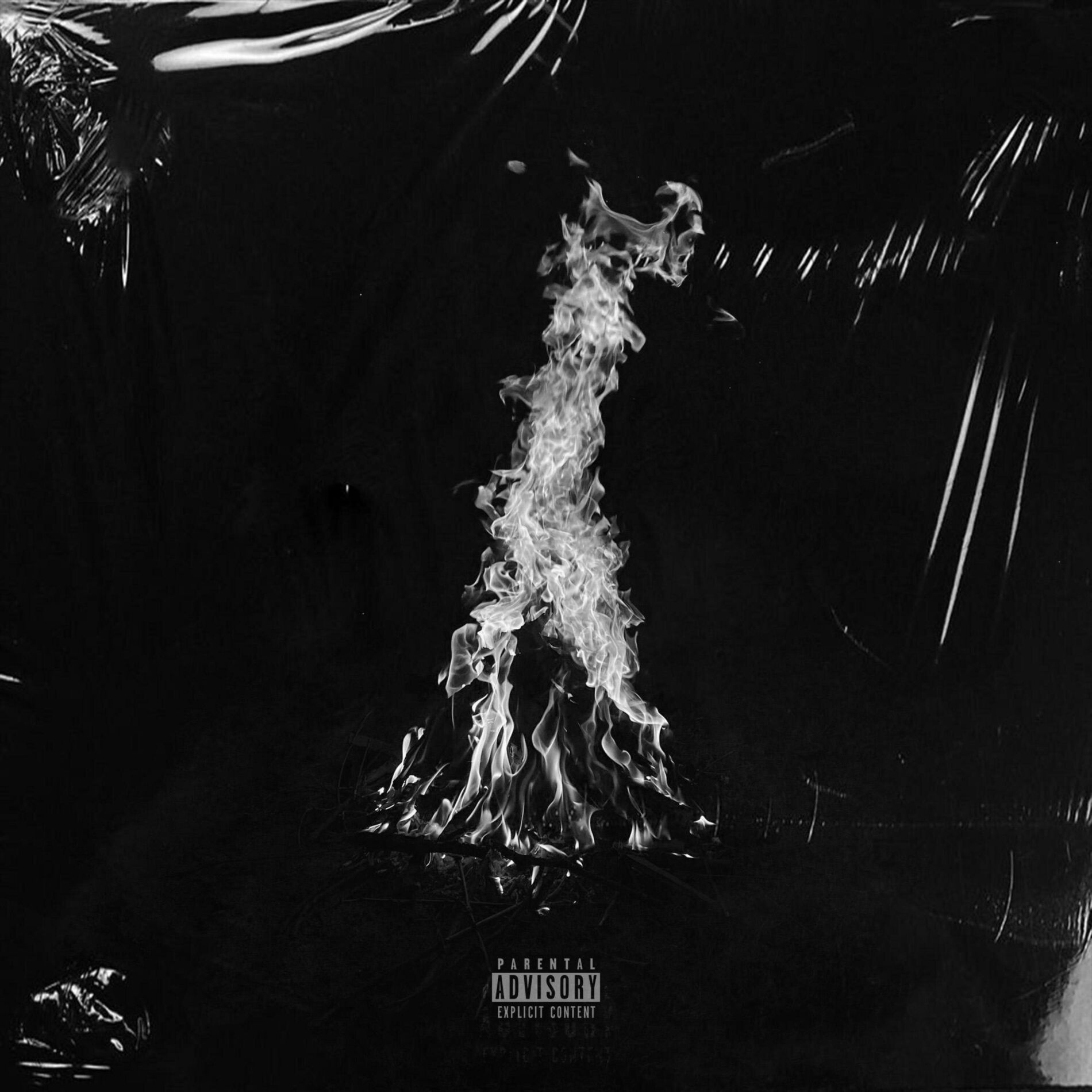 Album cover of Hate it or Love it