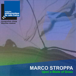Cover of Stroppa: Upon a Blade of Grass