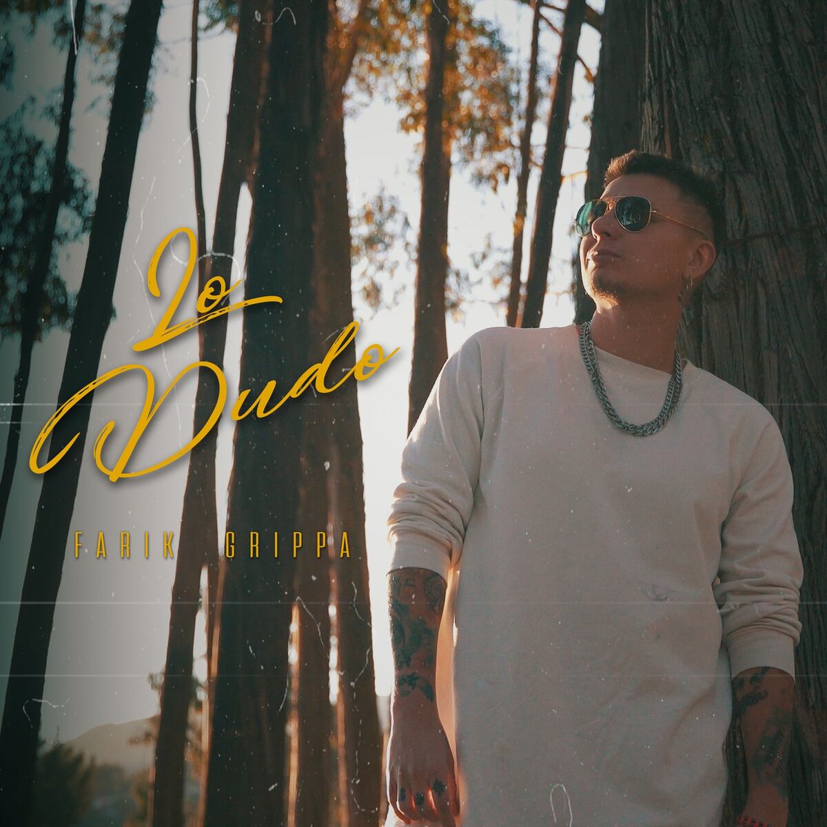 Album cover of Lo Dudo