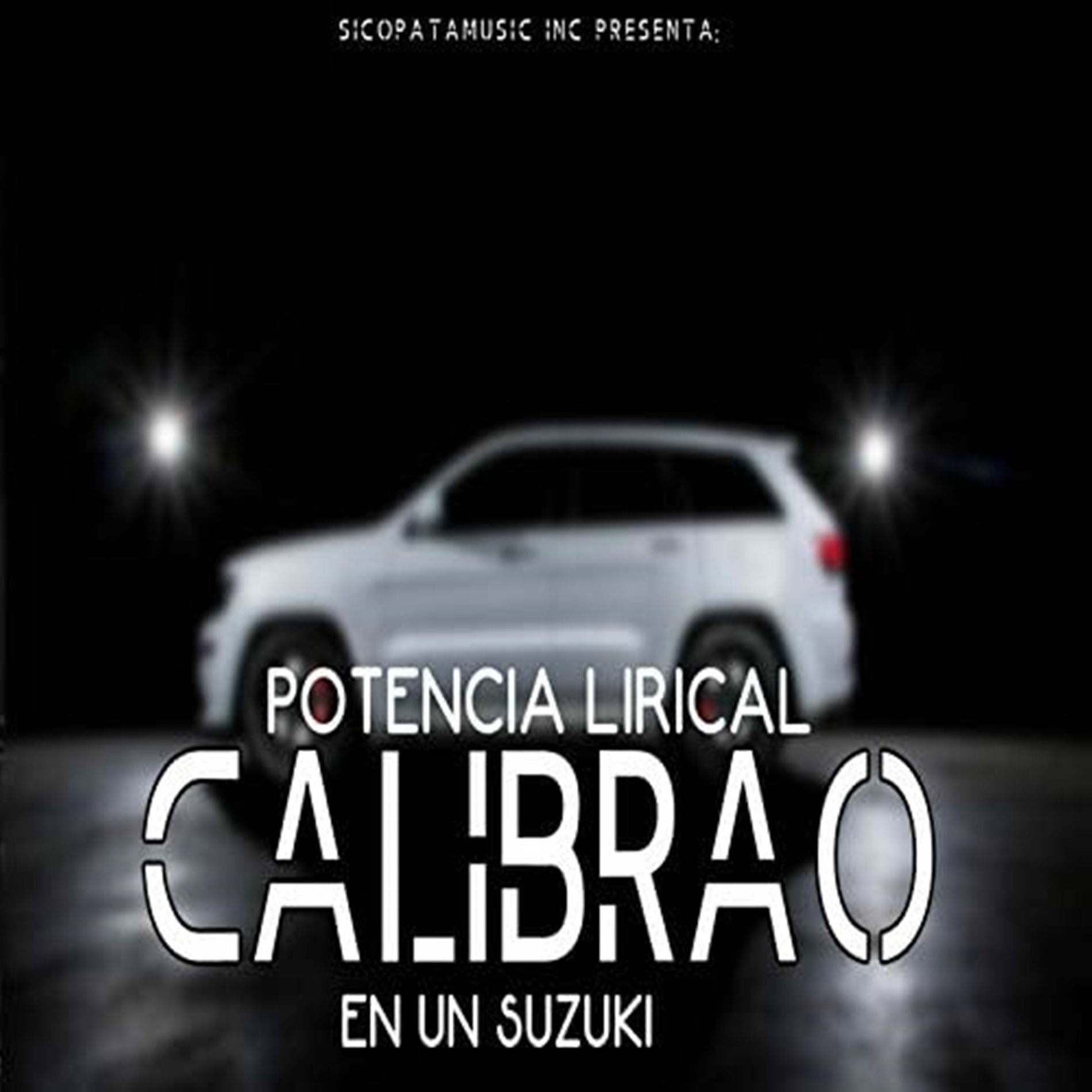 Album cover of Calibrao En Un Suzuki