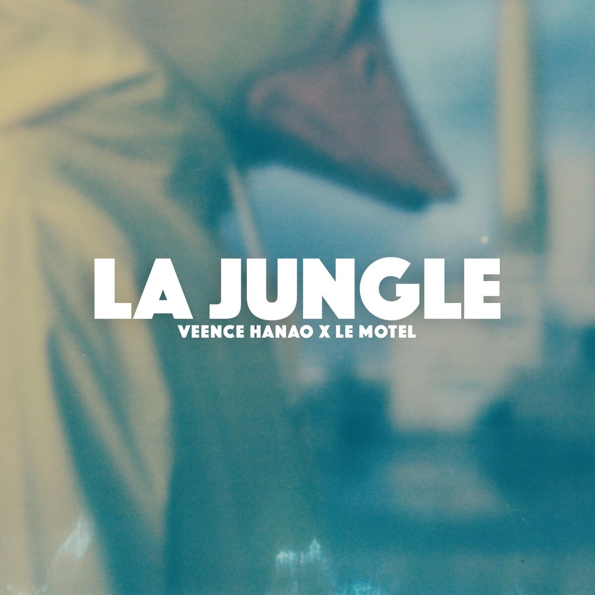 Album cover of La Jungle