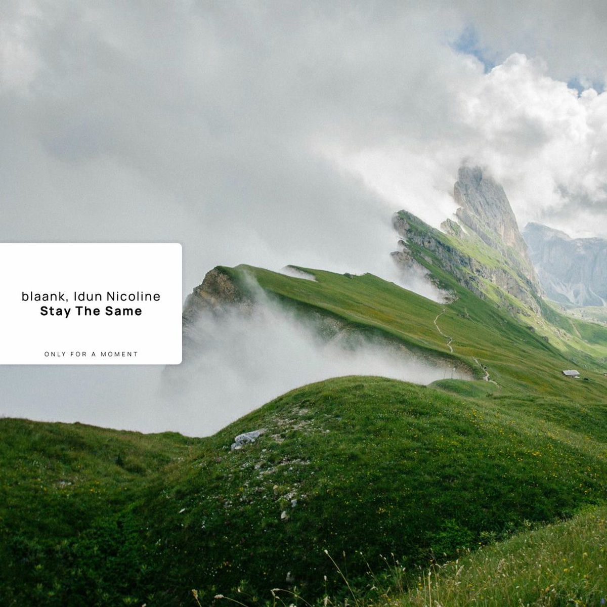 Album cover of Stay The Same