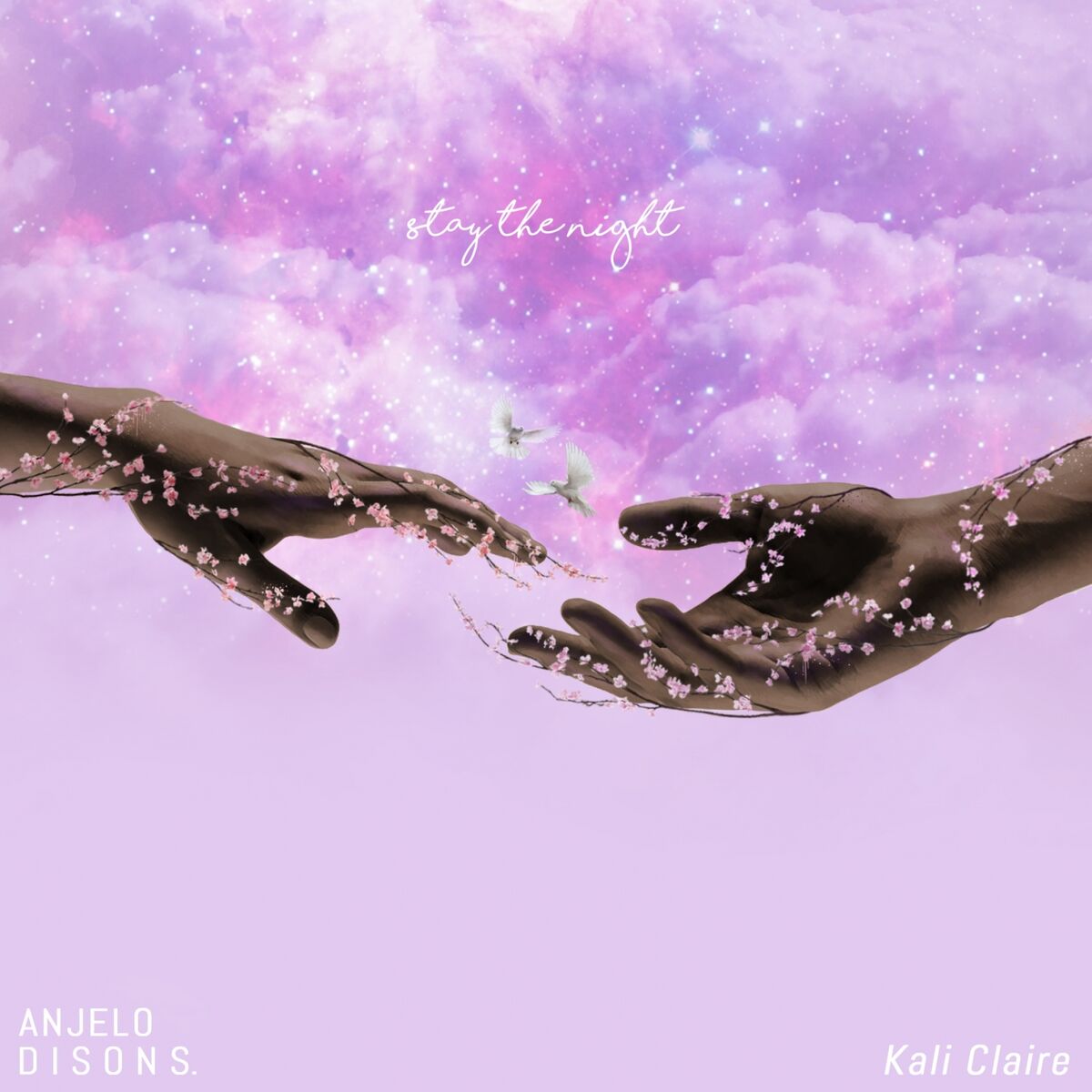Album cover of Stay the Night