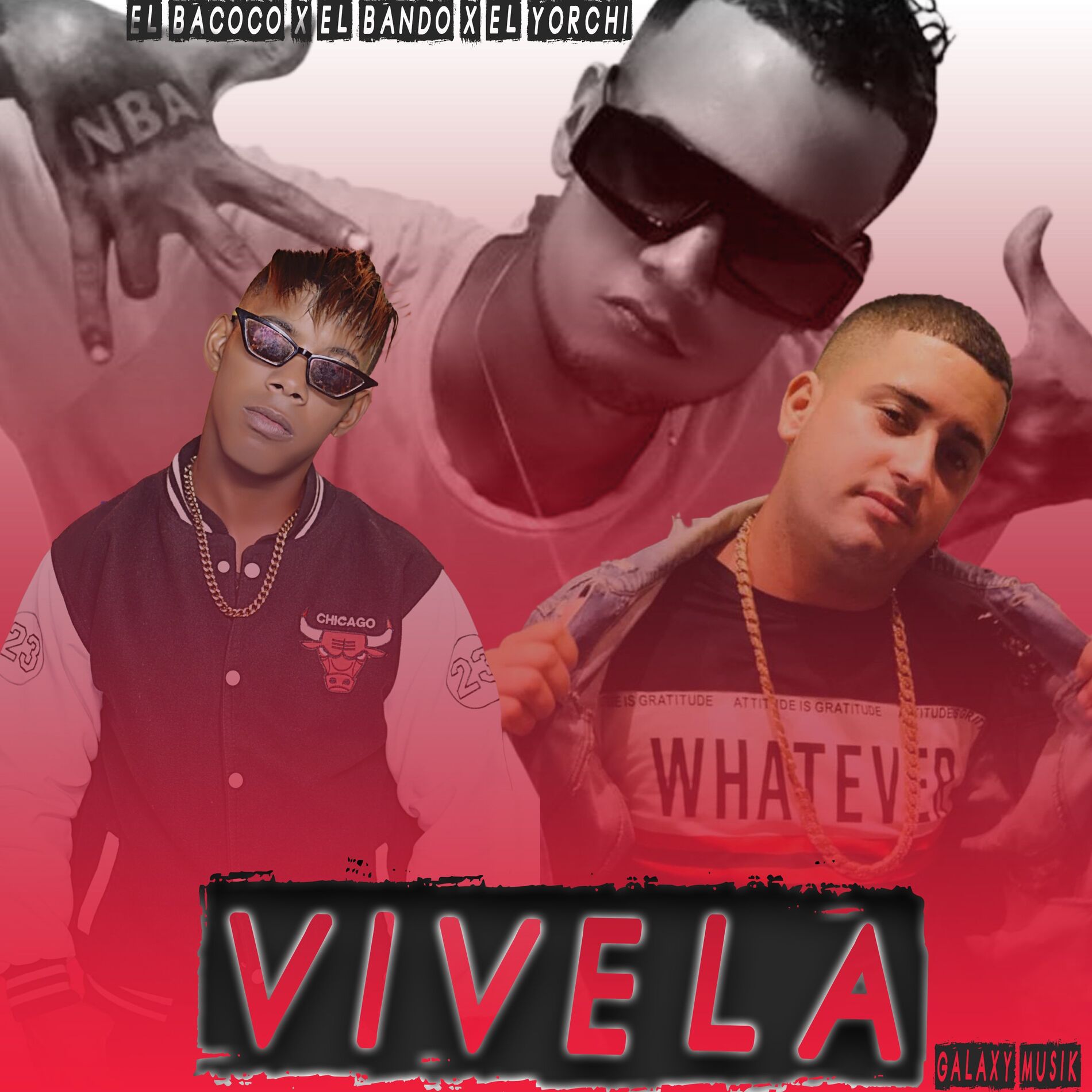 Album cover of Vivela