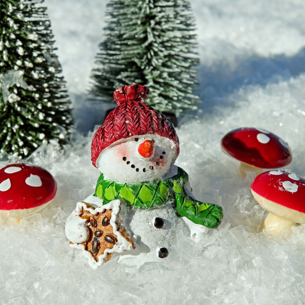 Picture of Christmas 2018 Jolly Sounds of Winter Frost