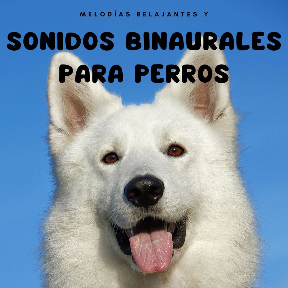 Picture of Melodías relajantes y sonidos binaurales para perros