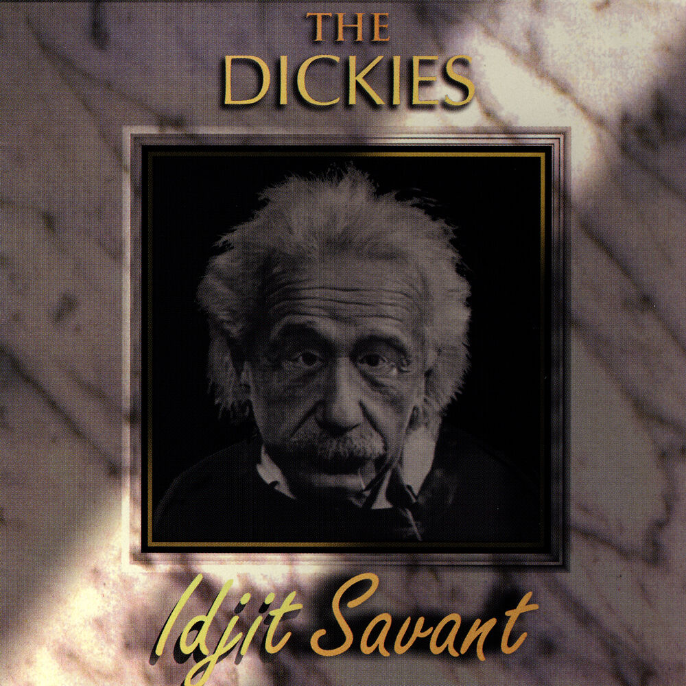 Picture of Idjit Savant