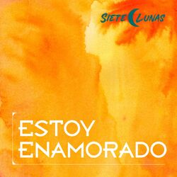Cover of Estoy Enamorado