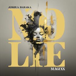 Cover of No Lie