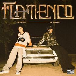 Cover of Flamenco