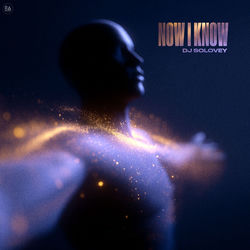 Cover Now I Know - Dj Solovey