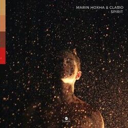 Cover of Spirit