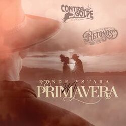 Cover of Donde Estara Mi Primavera