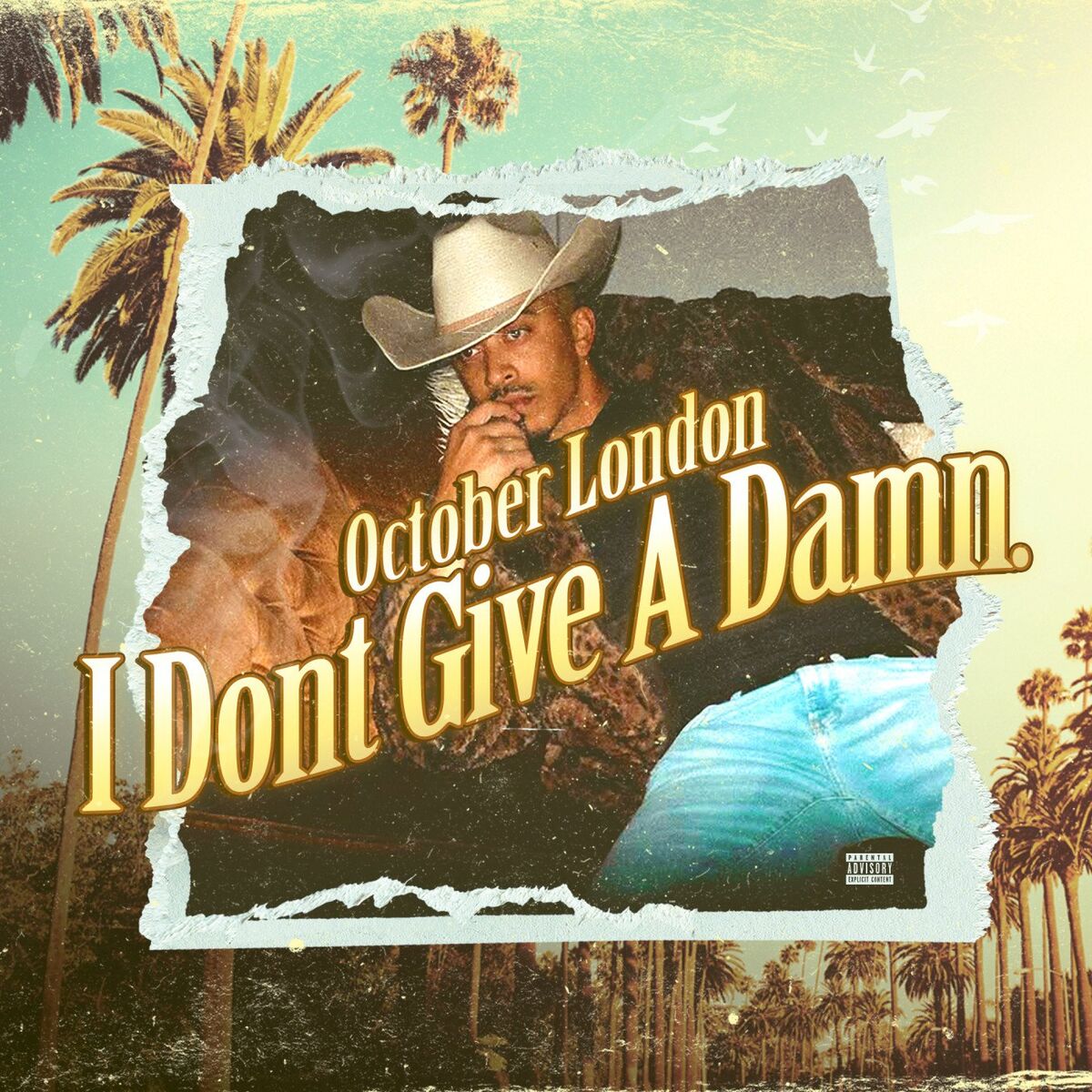Album cover of I Dont Give a Damn.