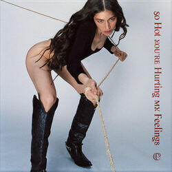 Cover of So Hot You're Hurting My Feelings