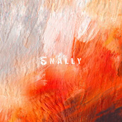 Cover of 5NALLY